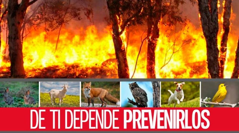 Prevención de incendios